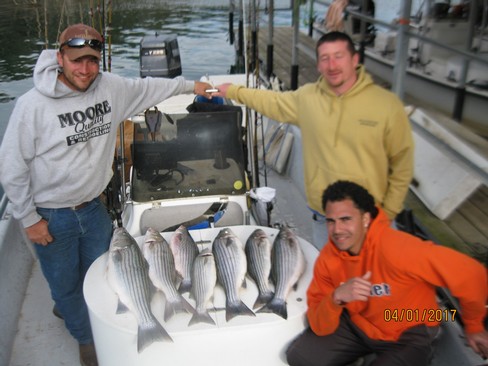 Nice Striped Bass
